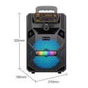 Altavoz Bluetooth Inalámbrico Portátil Exteriores Potente  6,5" Grande BT6116 - con Batería - Mando Micrófono Karaoke Radio FM Reproductor USB Micro SD TF MP3 Player Gran Potencia