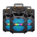 Altavoz Bluetooth Inalámbrico Portátil Exteriores Potente  6,5" Grande BT6116 - con Batería - Mando Micrófono Karaoke Radio FM Reproductor USB Micro SD TF MP3 Player Gran Potencia