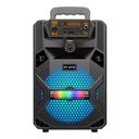 Altavoz Bluetooth Inalámbrico Portátil Exteriores Potente  6,5" Grande BT6116 - con Batería - Mando Micrófono Karaoke Radio FM Reproductor USB Micro SD TF MP3 Player Gran Potencia
